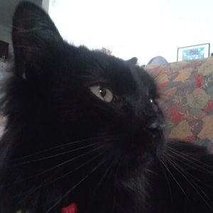 Meet your Posher, Catherine